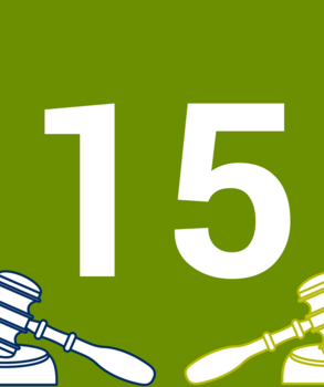 Joulukalenterin luukku 15