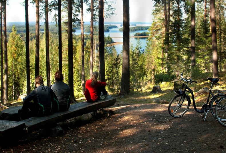 Puijon metsässä