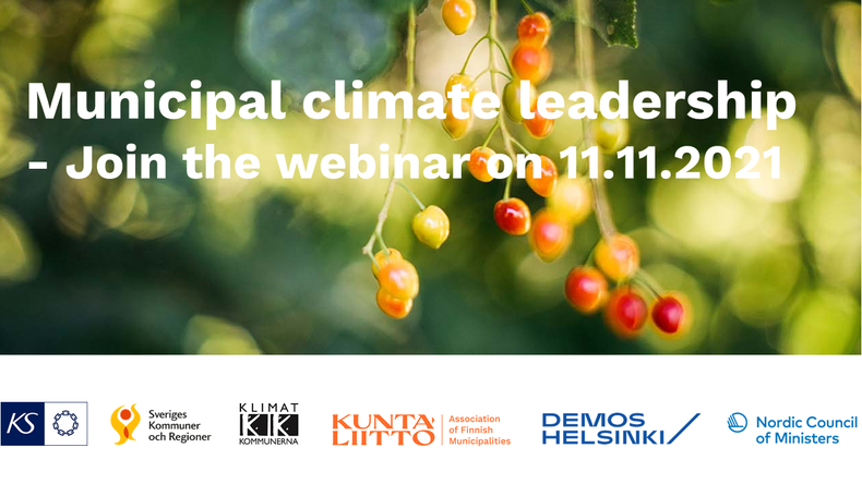 Nordic webinar local climate leadership